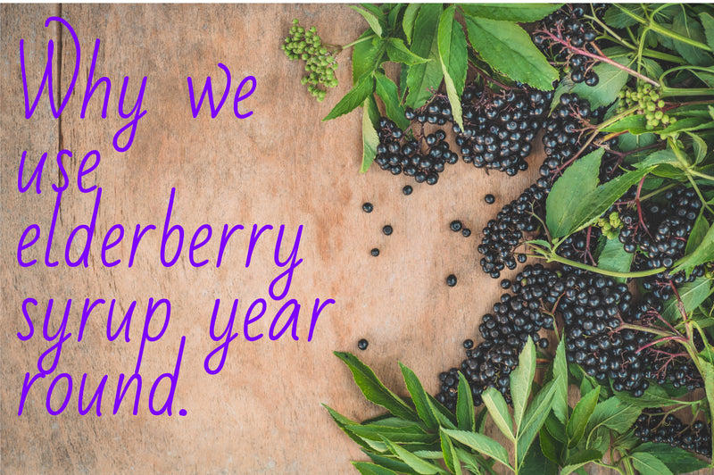 Why we use elderberry syrup year round.