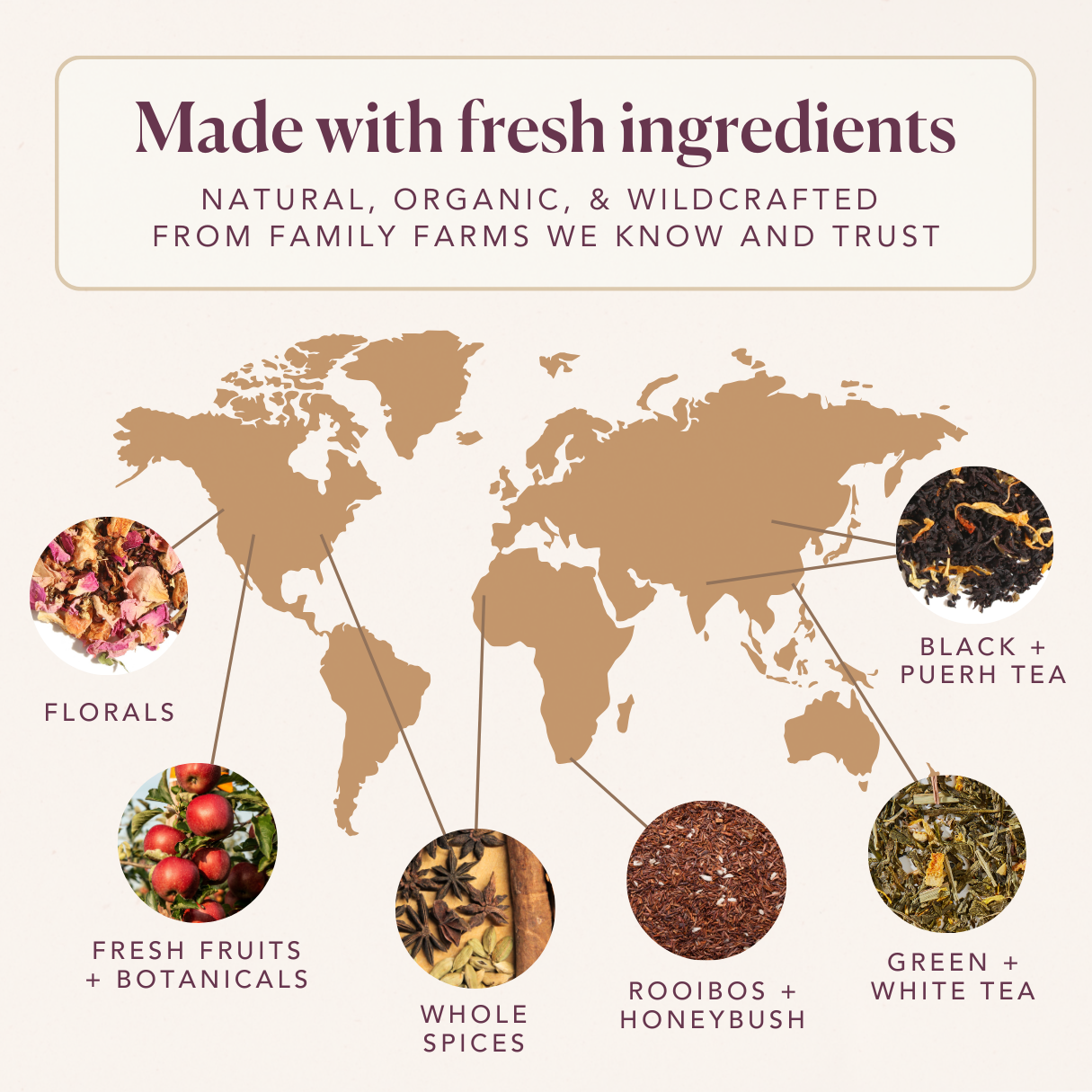 Strawberry Echinacea Immunity Herbal Tea