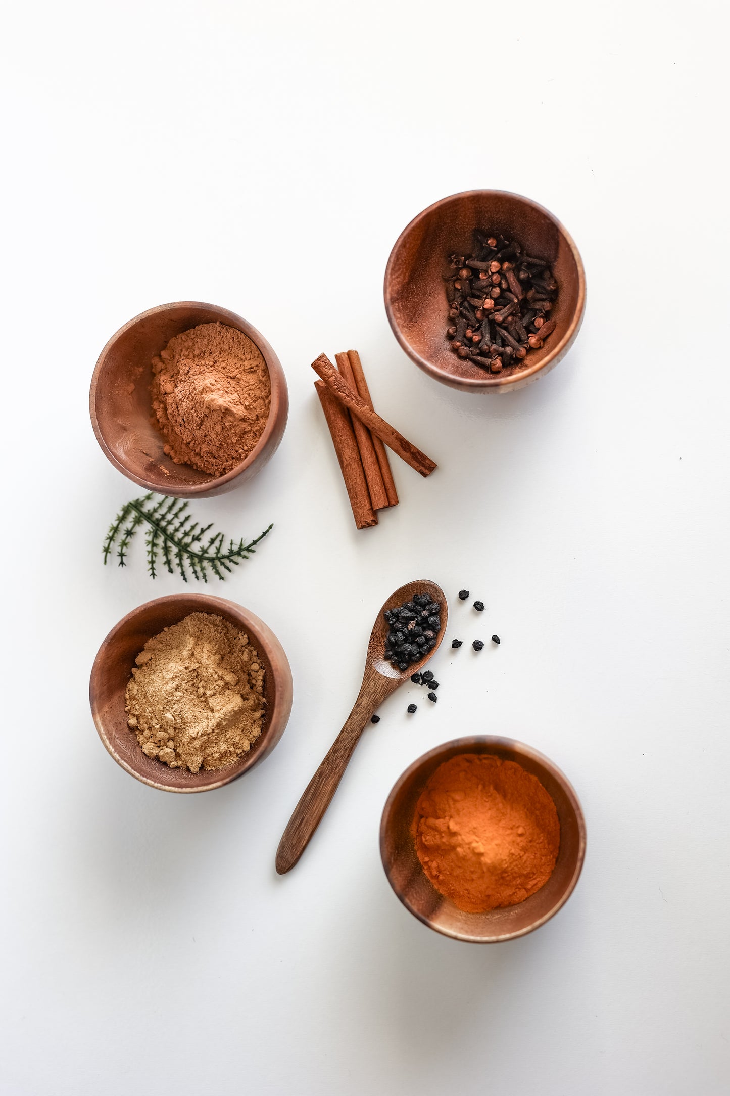 DIY Elderberry Syrup Kits