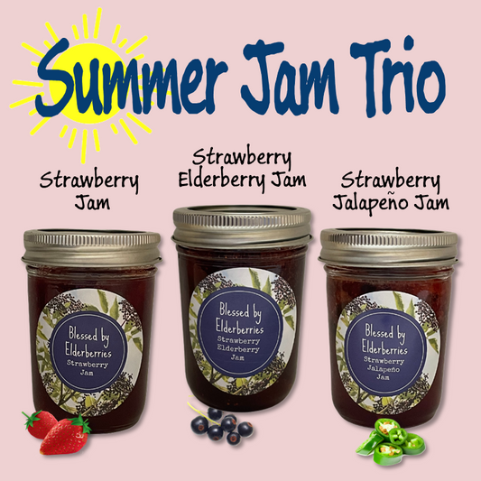 Summer Jam Trio